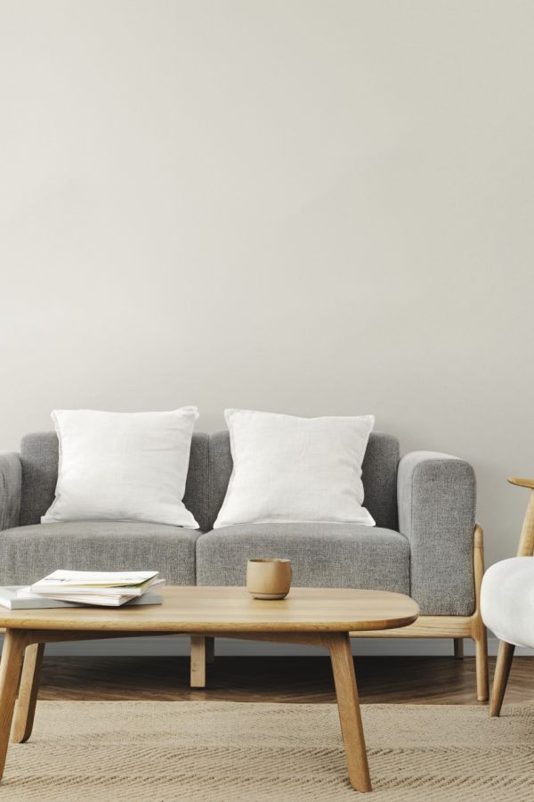Living room scandinavian interior