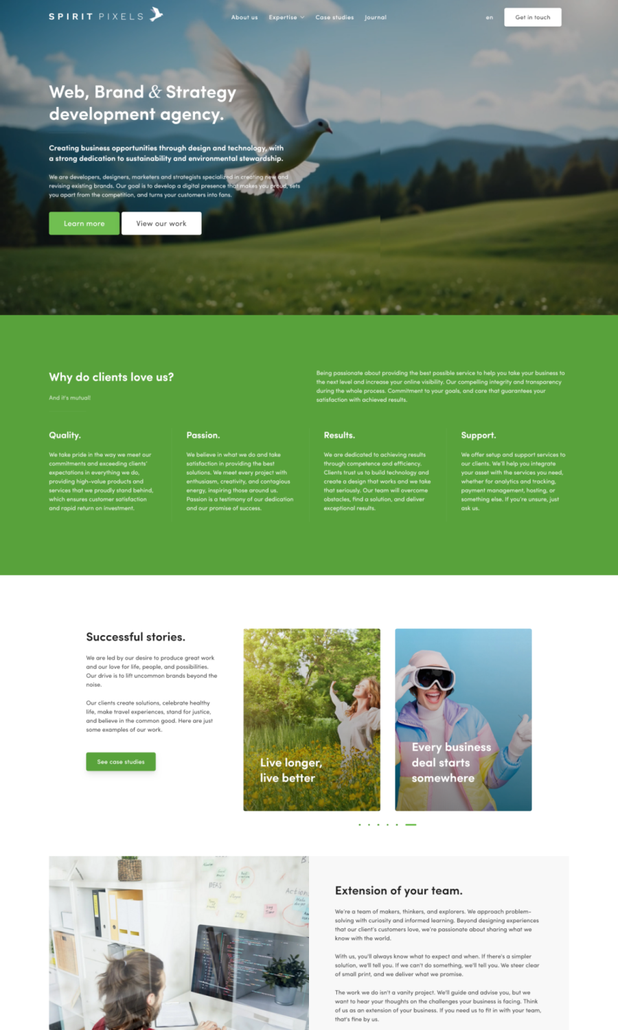 Spirit Pixels™ website preview