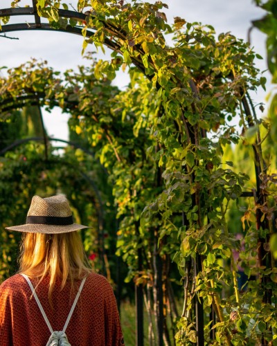 Exploring the Hidden Gardens of Imperial Marrakech