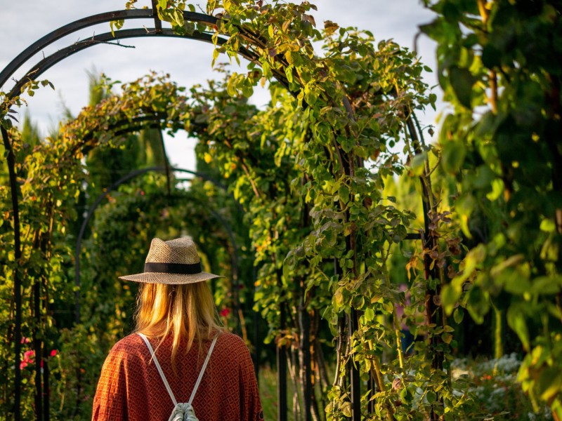 Exploring the Hidden Gardens of Imperial Marrakech