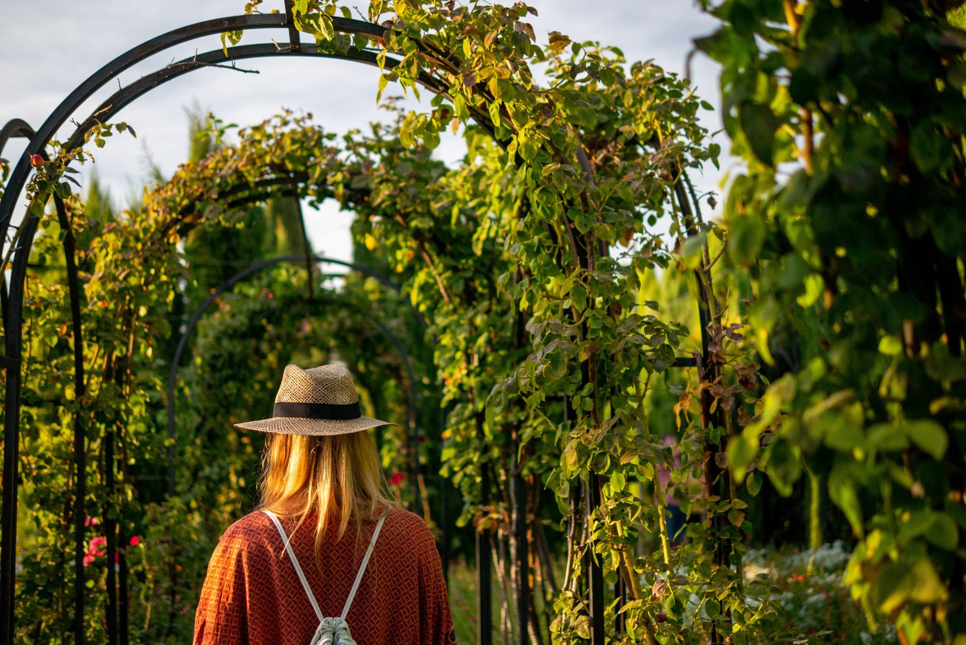 Hidden gardens of Marrakesh